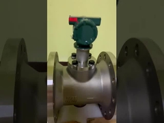 横川町20mAデジタルの渦流量計Dy025 Dy050 Dy100 Dy200